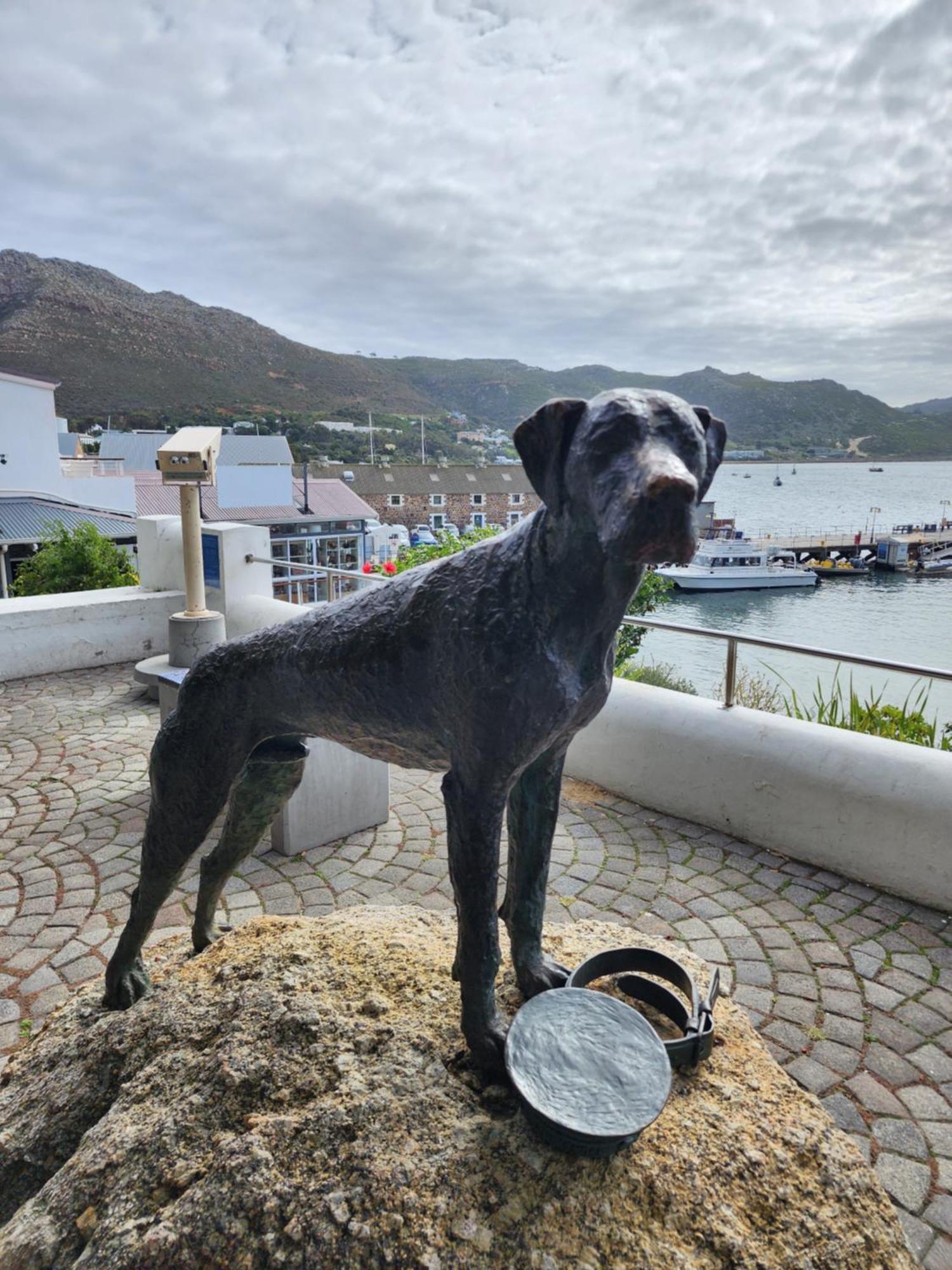 Boulders Blue Bed And Breakfast Simonʼs Town Exterior foto