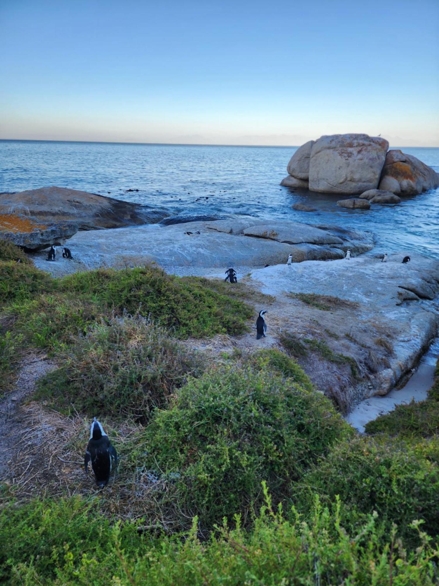 Boulders Blue Bed And Breakfast Simonʼs Town Exterior foto